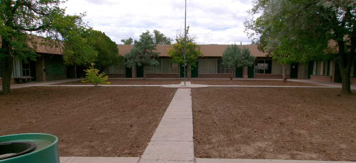 Cleared Yard Ready for Grass