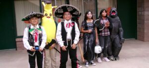 All Set to Go for the Festivities