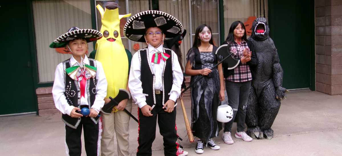 All Set to Go for the Festivities